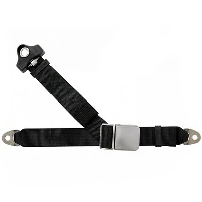 Y Shaped Seat Belt