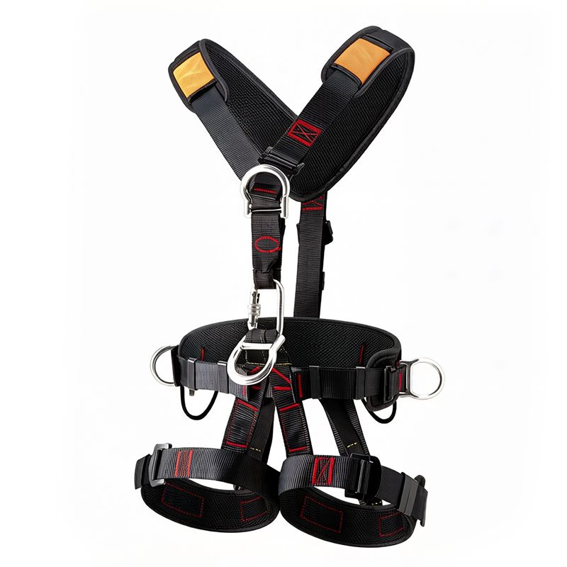 Back and Shoulder Belt