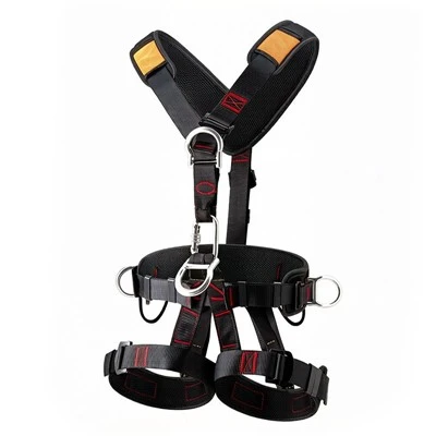 Back and Shoulder Belt