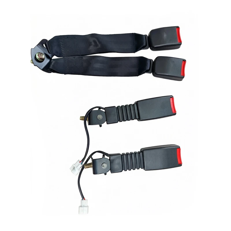 Rear Seat Belt in Car