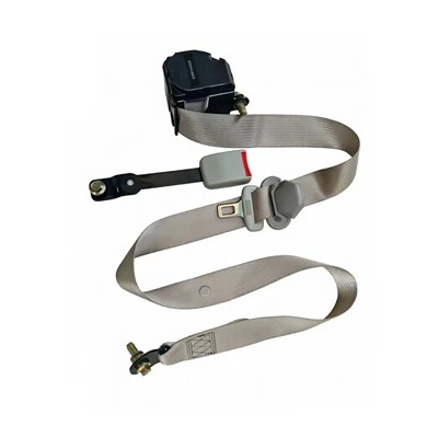3 Seat Belt