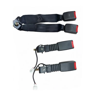 Rear Seat Belt in Car