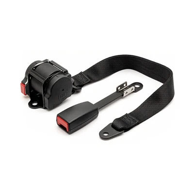 Seat Belt Buckle Assembly